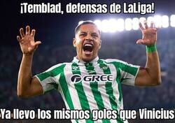 Enlace a Tigrinho ha despertado