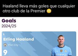 Enlace a Qué tipo de animal es Haaland