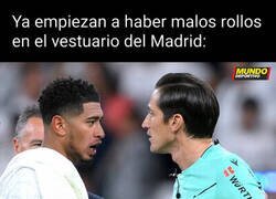 Enlace a Los primeros egos entre compañeros