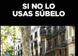 Enlace a Hay que ser pragmático