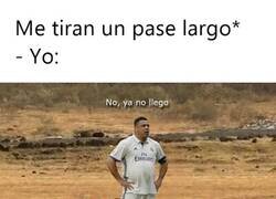 Enlace a Al pie, siempre al pie