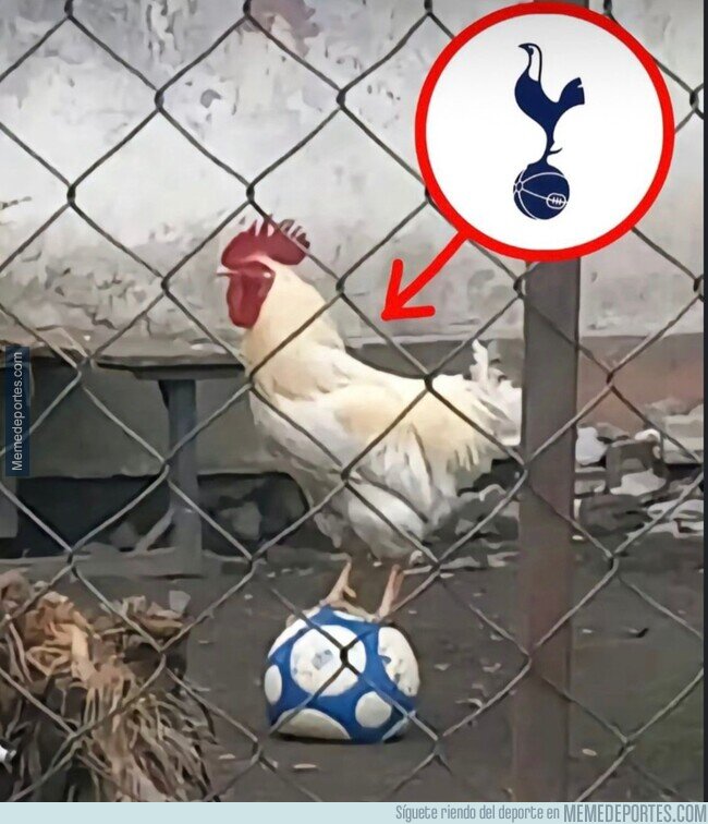 1210641 - Otros parecidos con el escudo del Tottenham