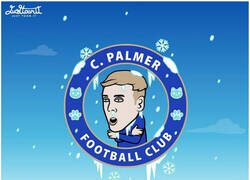 Enlace a Cold Palmer