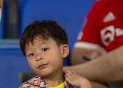 Enlace a Linda camisa del Bicho