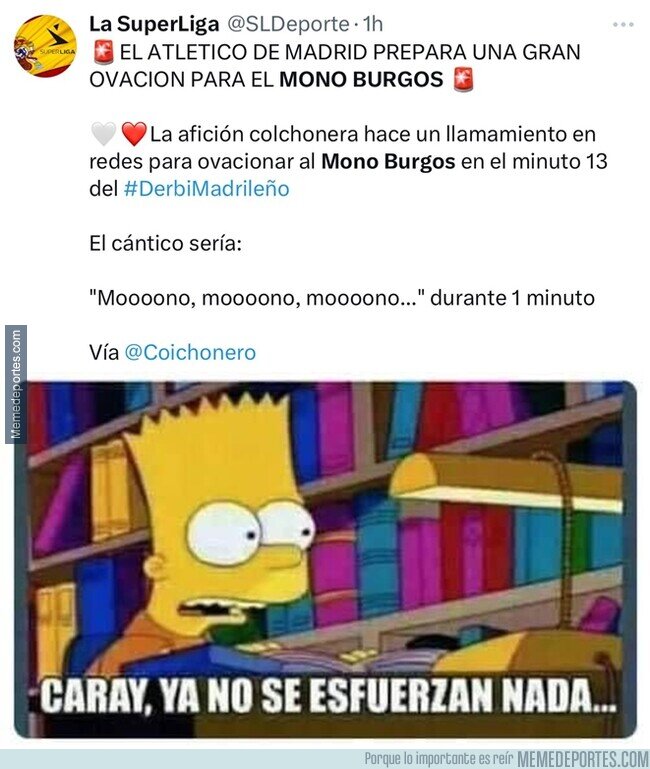 1210667 - Estos no han sabido del Mono Burgos en décadas