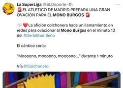 Enlace a Estos no han sabido del Mono Burgos en décadas