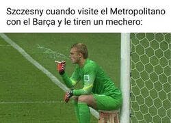 Enlace a Adaptarse o morir