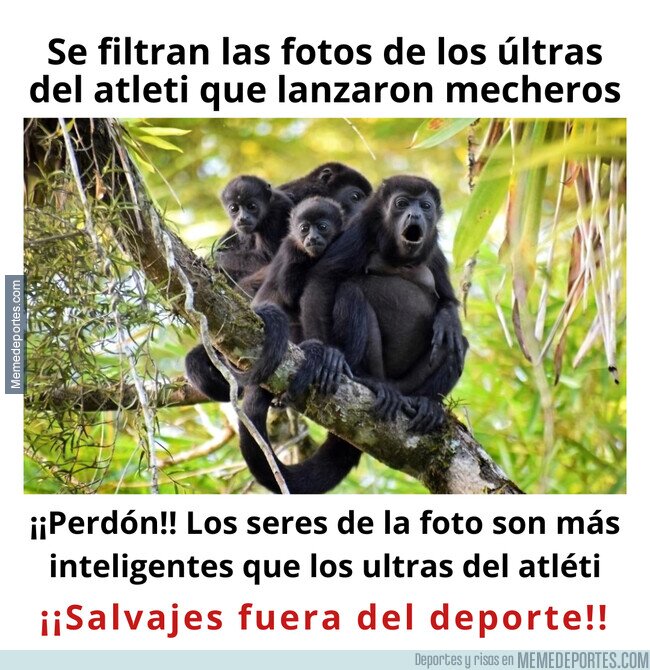 1210762 - Salvajes fuera del deporte