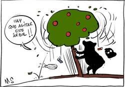 Enlace a Cayó de todo