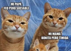 Enlace a Cuantos defectos en una persona...