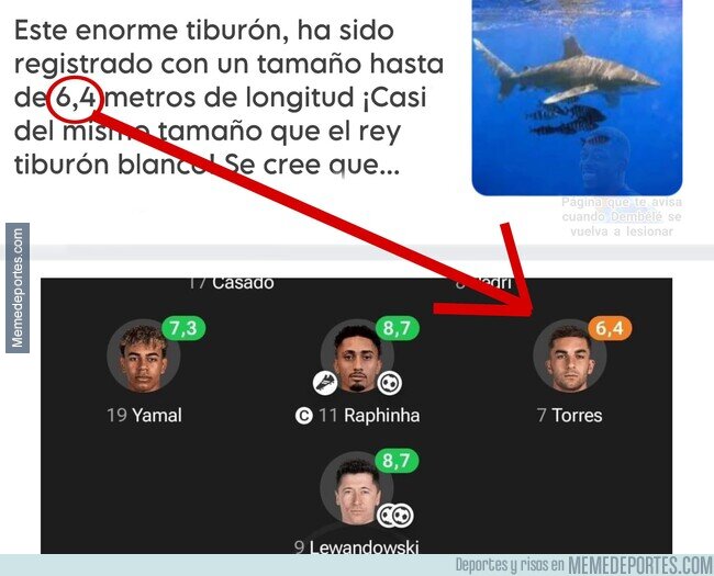 1210839 - Confirmamos que es un tiburón