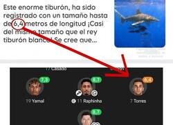 Enlace a Confirmamos que es un tiburón