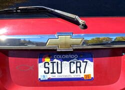 Enlace a Este coche es un Bicho