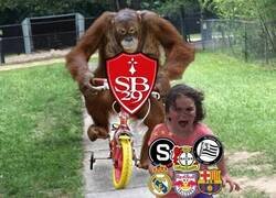 Enlace a Nadie se quiere enfrentar al Brest