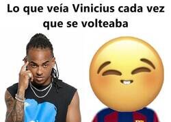 Enlace a Lo que veía Vinicius