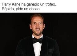 Enlace a Y esa rosa?