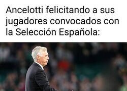 Enlace a Absolutamente nadie