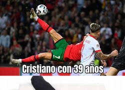 Enlace a Lo del Bicho no tiene nombre