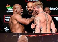 Enlace a La pelea de Tyson vs Jake Paul resumida
