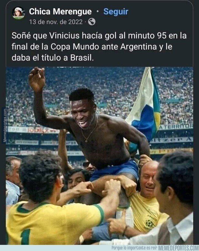 1212294 - Se tienden la trampa solitos