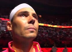 Enlace a Las lágrimas de Nadal son las de todos