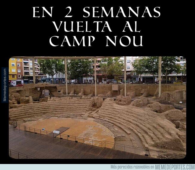1212369 - Se cumple los plazos