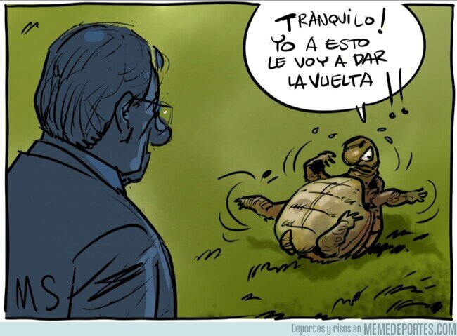 1212389 - ¿Volverá la mejor versión de la tortuga tras el parón?