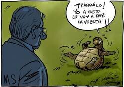 Enlace a ¿Volverá la mejor versión de la tortuga tras el parón?