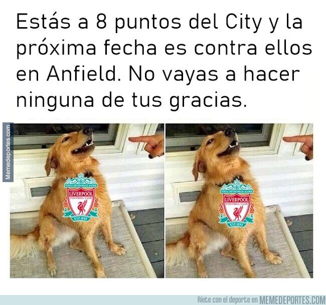 1212461 - Por el amor de Dios, Liverpool. Solo esta vez.
