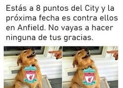 Enlace a Por el amor de Dios, Liverpool. Solo esta vez.