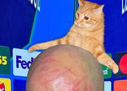 Enlace a La única explicación que encuentro