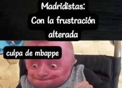 Enlace a Los madridistas no pueden más