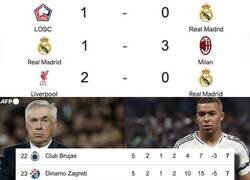 Enlace a No levanta cabeza