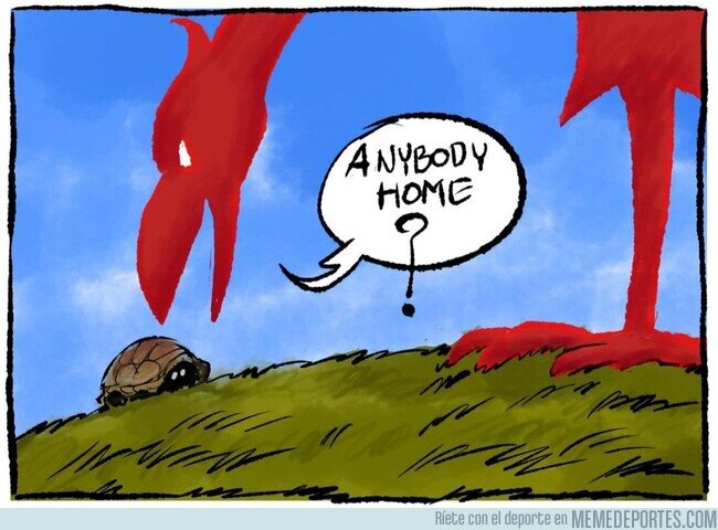 1212573 - La tortuga se esconde