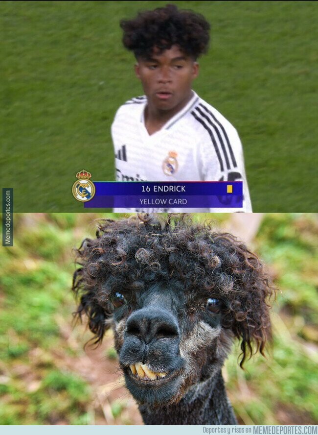 1212611 - Separados al nacer