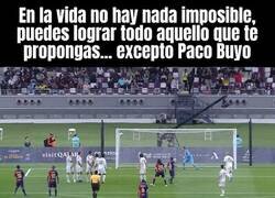 Enlace a Casi Paco Buyo, casi...