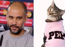 Enlace a De aquí los rasguños