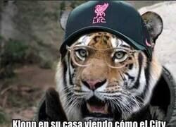 Enlace a No, pero qué timing.