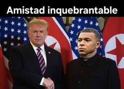 Enlace a Triste inmunidad..