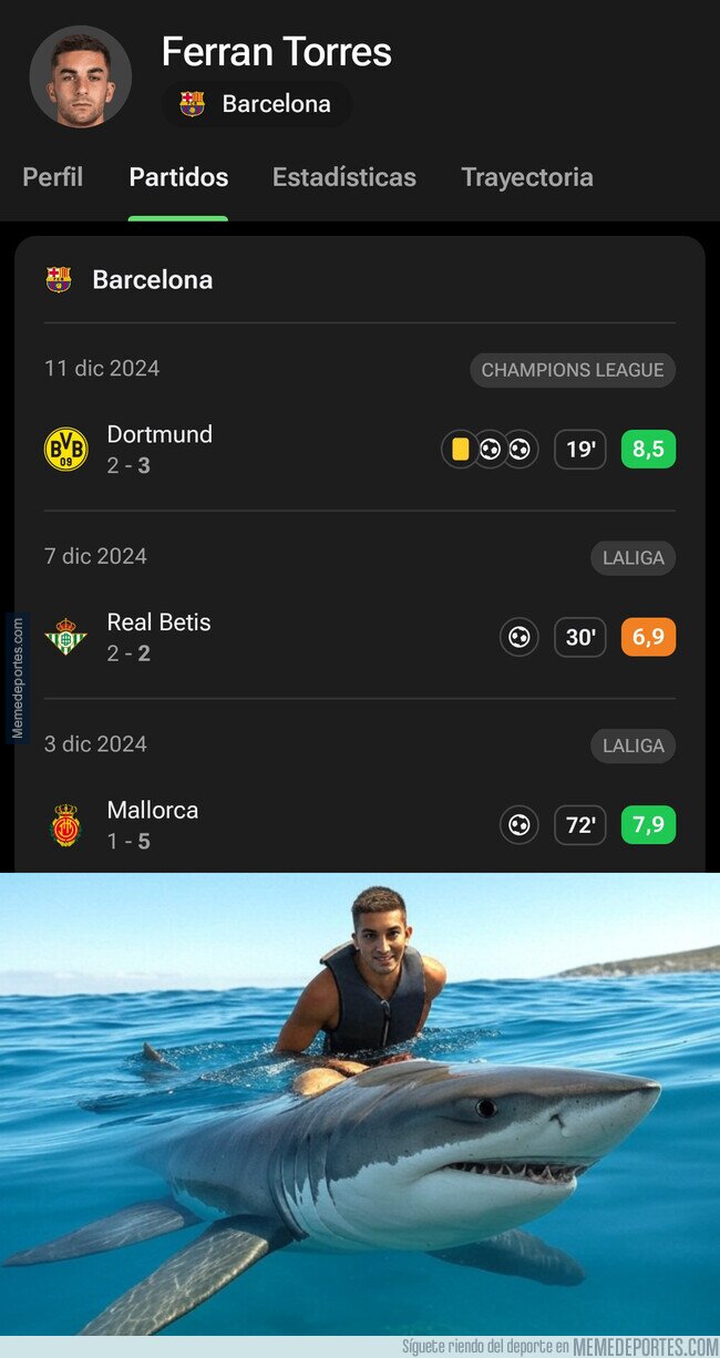 1213040 - ¡El tiburón ha vuelto!