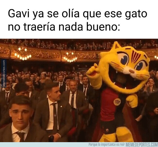 1213492 - Ese gato no trajo nada bueno