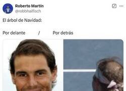 Enlace a El árbol de Nadal