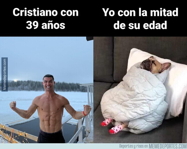 1213571 - Las frías navidades del Bicho
