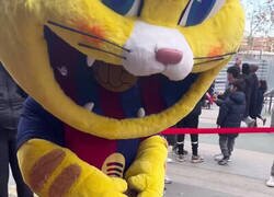 Enlace a Ese gato está fuera de control