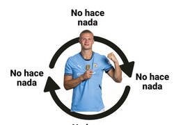 Enlace a Haaland esta temporada