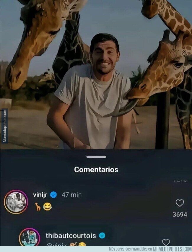 1213851 - Que bién entendió el Chiste Courtois