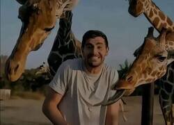 Enlace a Que bién entendió el Chiste Courtois