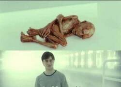 Enlace a El terrible agresor