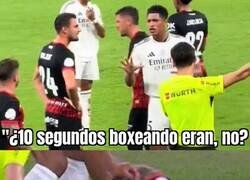 Enlace a Haciendo leña del árbol caído