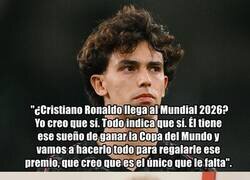 Enlace a Felix la acaba de dañar el relato al Bicho